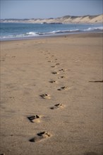 Footprints on the long sandy beach of the Cote dArgent