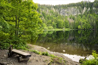 The Feldsee with a bench in front of it