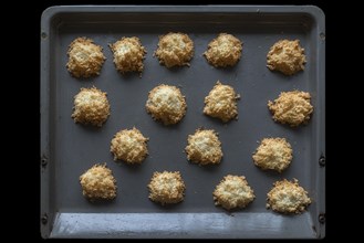 Freshly baked coconut macaroons on the baking tray