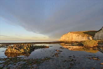 Alabaster coast with chalk cliffs near Etretat at low tide