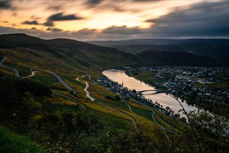 Autumn vineyards on the Moselle river