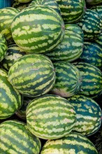 Dozens of watermelons in a Turkish street bazaar in display