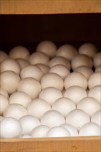 Dozens of styrofoam balls in the view