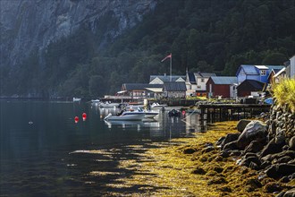 The village of Undredal on the Aurlandsfjord in the province of Vestland