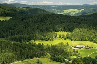 A farm surrounded by woods and meadows