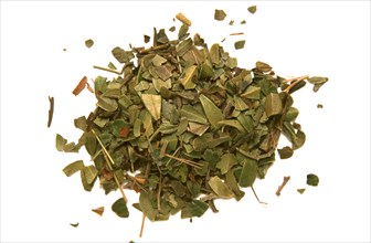Natural remedy dried bearberry leaves