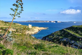 View of Comino Island in the background