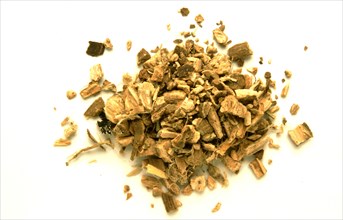 Medicinal herbs: Condurango bark