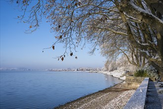 View of Lake Constance from the snow-covered Mettnaupark