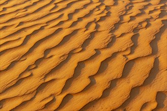Natural patterns and ripples in the sand