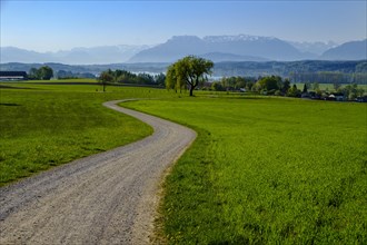 Path with a view from Bicheln