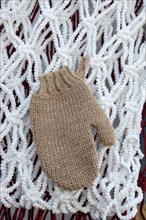 Brown mitten on a white background in the view