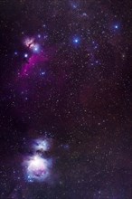 Orion Nebula in Deep Sky Astrophotography