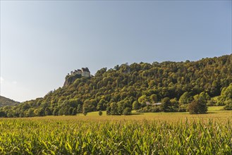 View over a cornfield to Werenwag Castle in the Upper Danube nature park Park