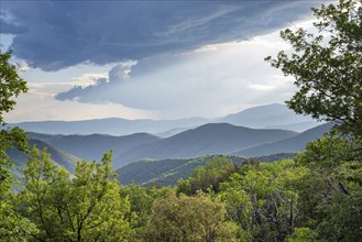 Evening view of the summer mountain landscape of the Cevennes near St. Martial