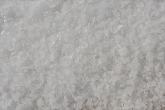 Milled white salt in view as a background