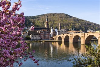 Heidelberg with the Old Bridge