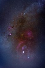 Deep Sky Astrophotography - ORION Constellation