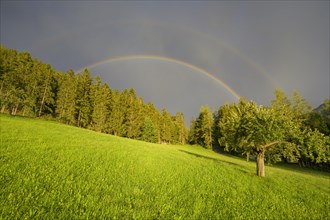 Double rainbow over meadow