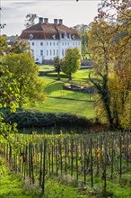 Vineyard in front of Meseberg Castle