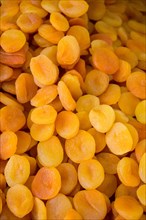 Dried apricot fruit as a whole background texture