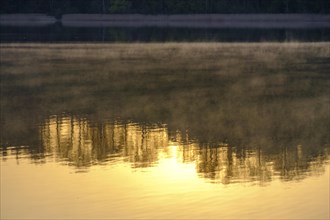 Morning fog over Lake Tachingen
