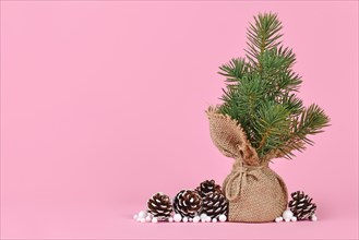 Small christmas tree in jute bag next to for cone and snowballs on pink background with copy space