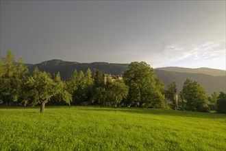 Rothenfels Castle