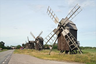 Windmills in a meadow