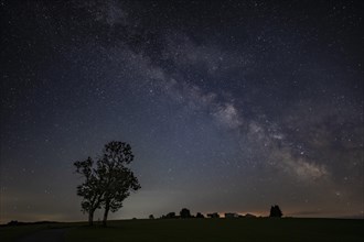 Group of trees with field cross with Milky Way and starry sky