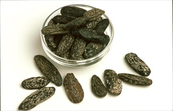 Natural remedy Tonka beans from the cumaru