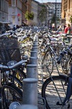 Endless row of bicycle racks in Copenhagen