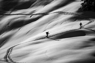 Ski tourers ascending in black and white