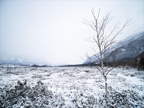 Barren landscape in winter