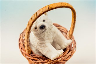 Polar bear model in basket in the view