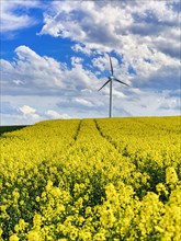 Wind turbine in a rural area