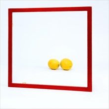 Square red frame set against a white background. Two lemons lie in the frame