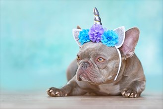 French Bulldog dog dressed up as unicorn wearing headband with flowers in front of blue background with copy space