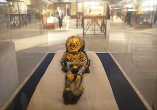 Gilded mummy of a baby in a glass case