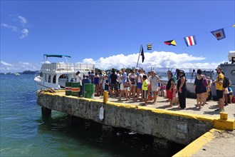 Tourists waiting for the whale watching boat