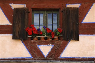 Window with shutters and geraniums on farmhouse