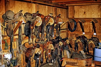 Western saddles hanging