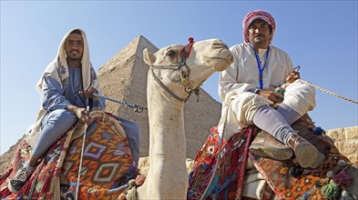 Egyptian men on a camelid