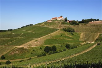 Staufenberg Castle with vineyards