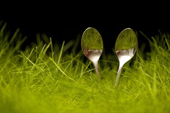 Teaspoon in the grass