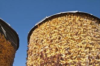 Corn storage bin