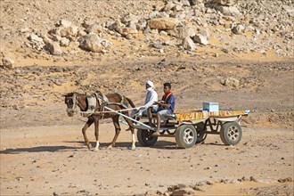 Egyptian men on a horse cart in the Nubian Desert
