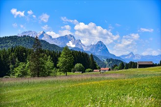 Alpine meadow in summer near Garmisch