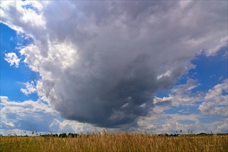 Cloud formation