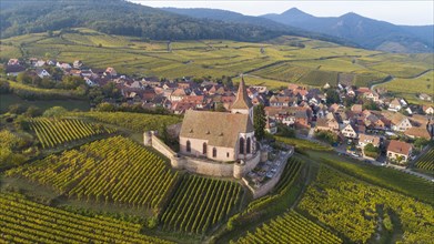 Aerial view of the winegrowing village of Hunawihr in Alsace